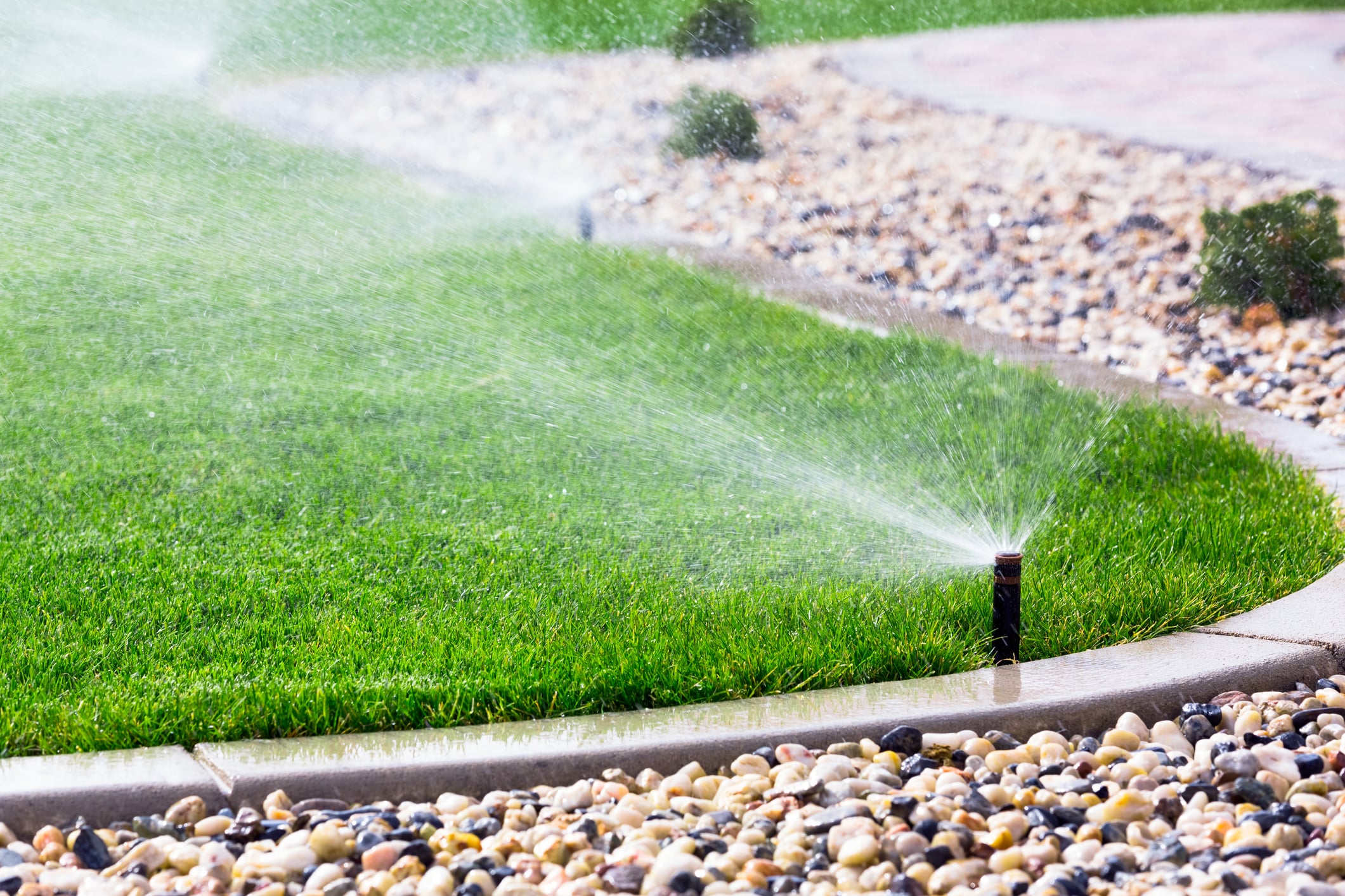 Yard Irrigation System