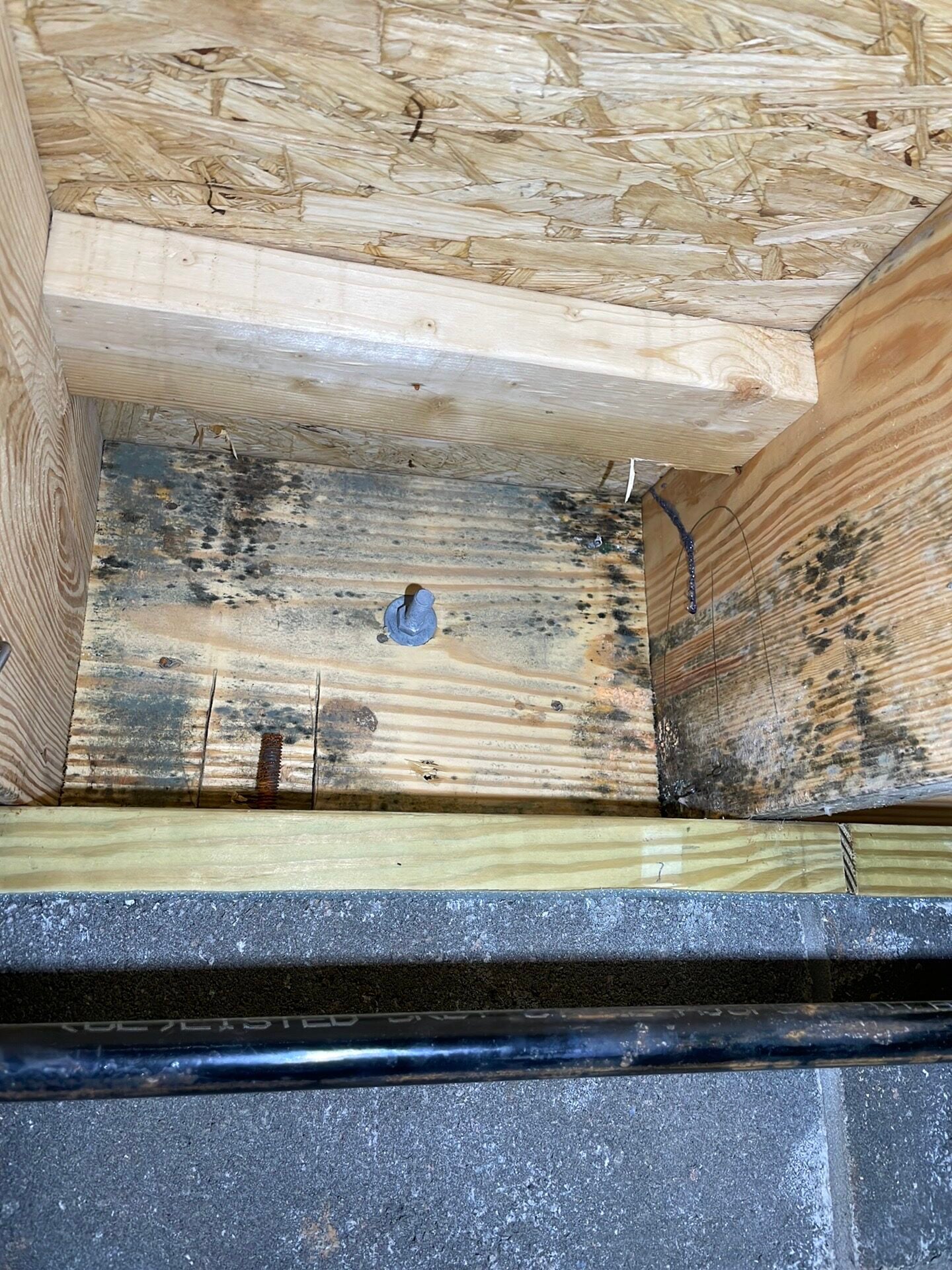 Mold spotting on a plywood panel near a crawlspace foundation wall