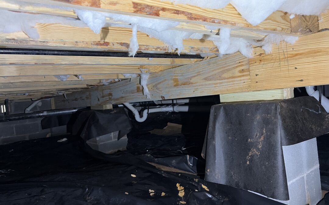 Mold Inspection When Buying a Home in East TN