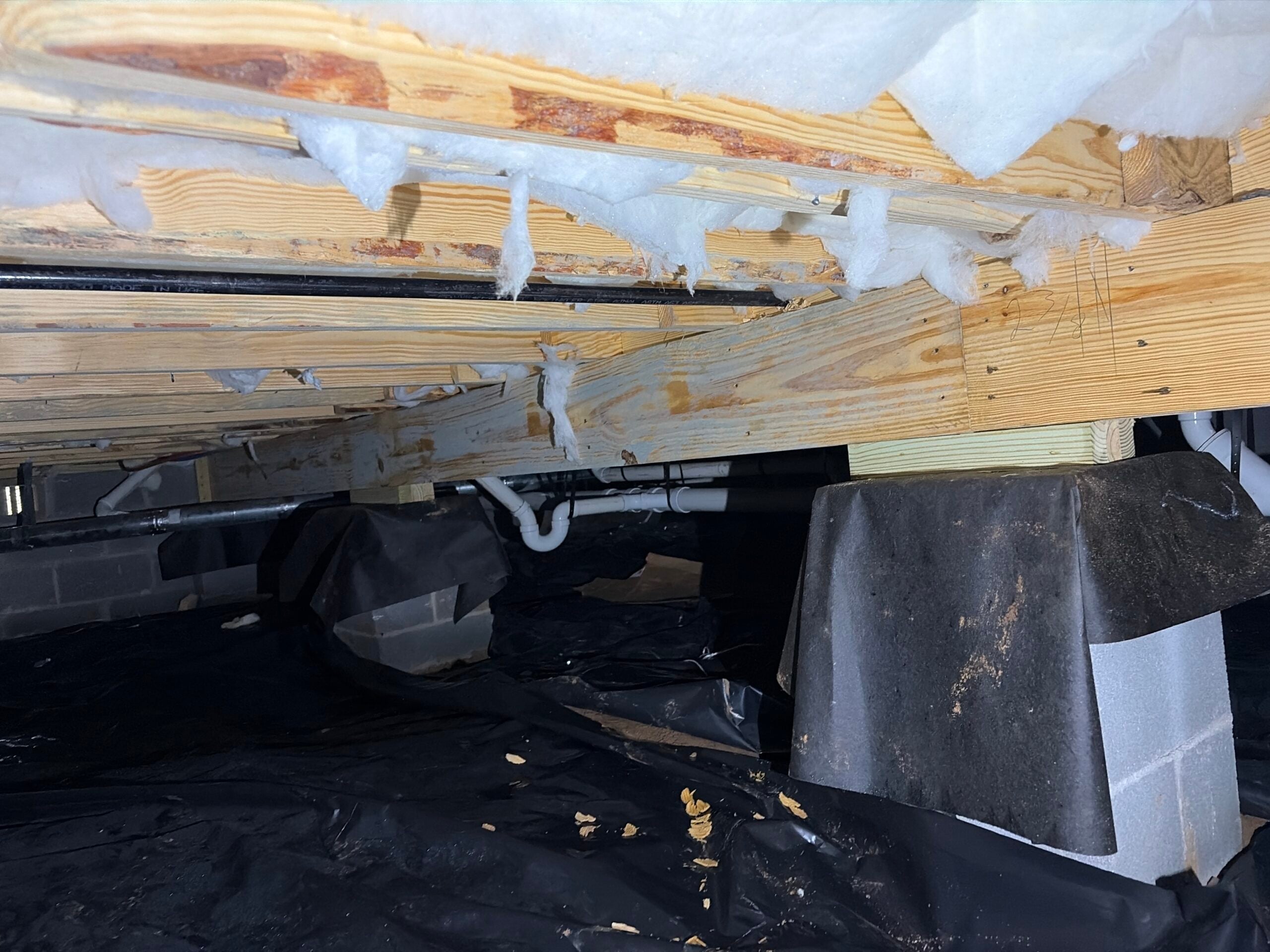 Crawlspace with vapor barrier, floor joists, and plumbing lines during a mold inspection